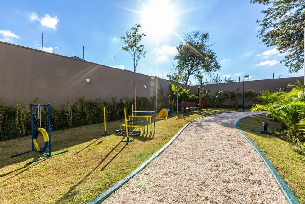 Perspectiva ilustrada do pet place