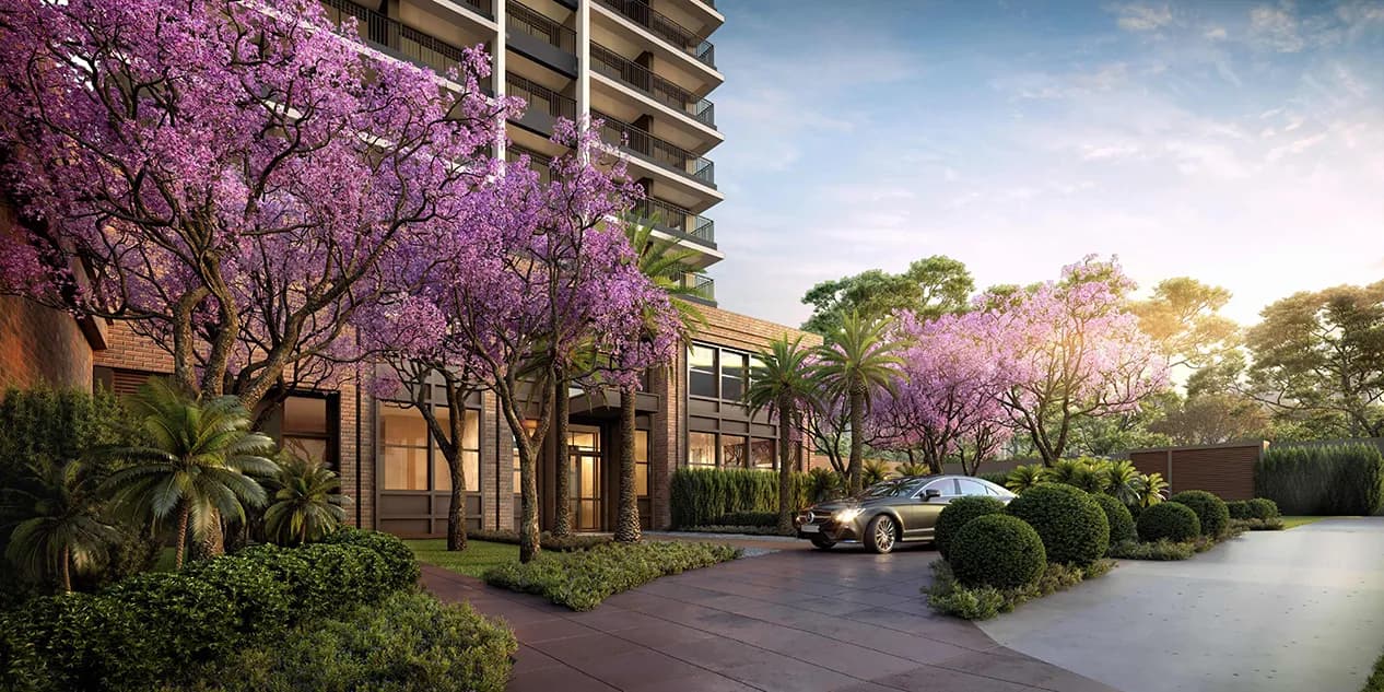 Perspetiva ilustrada da entrada social